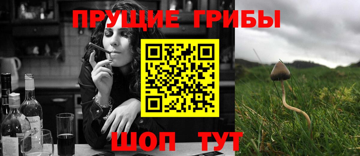 цена   Псилоцибиновые грибы GOLDEN TEACHER  Вход с VPN  Лабинск 
